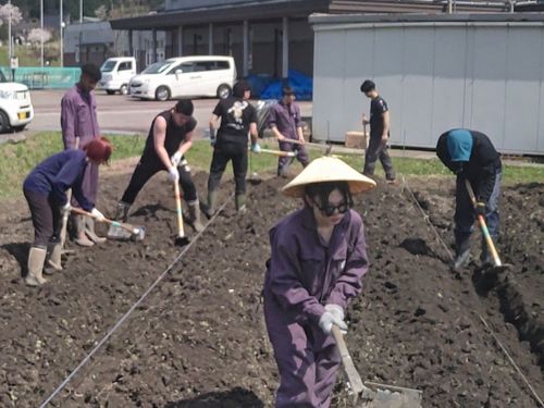 学校畑で畝づくり