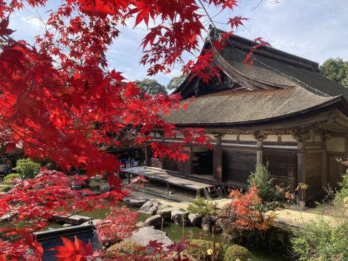善水寺