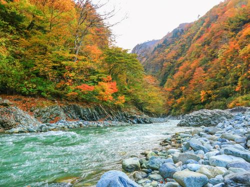 雄大な自然も十日町市の魅力です。
