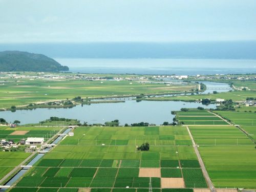 晩春の伊庭内湖。パッチワークのような風景にファンも多数！