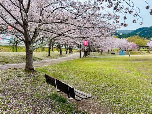 じゅらくの里。ベンチや芝生もあり、ピクニックにぴったりです