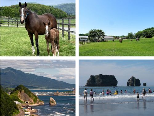のどかな牧場の中で馬と触れあい、休日はアポイ岳登山🗻や海水浴場で海水浴🌊