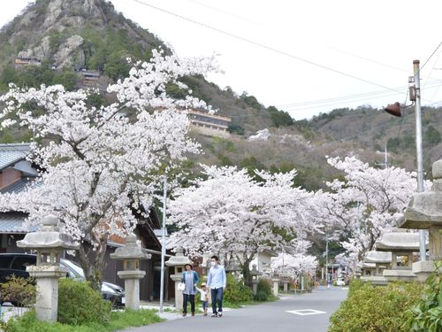 春の太郎坊