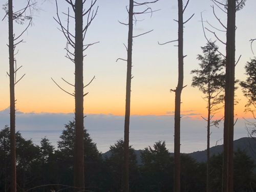 山の頂上にあるので景色も素敵です