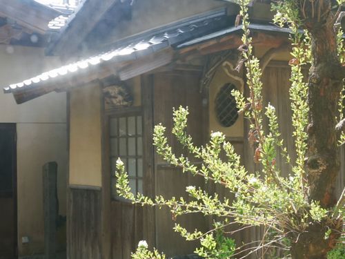 中庭に建つ茶室