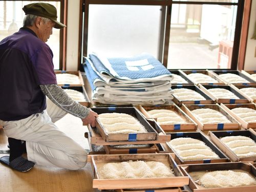 3日目　出来上がった糀