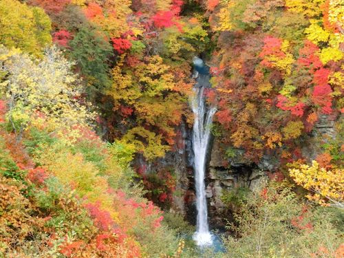 那須高原の紅葉