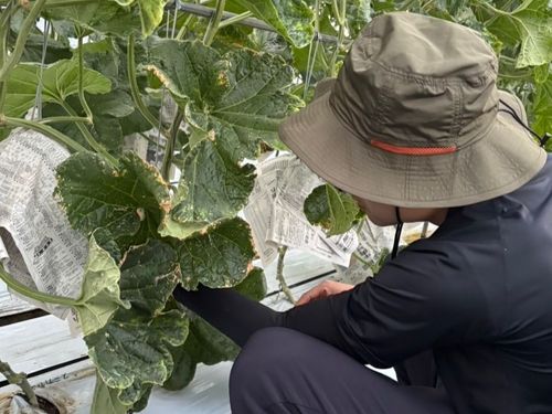 暮らしの中にある、手仕事