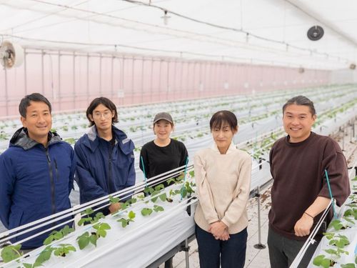 広くて綺麗なイチゴハウス！この美味しさをあなたの発信で全国へ届けましょう。