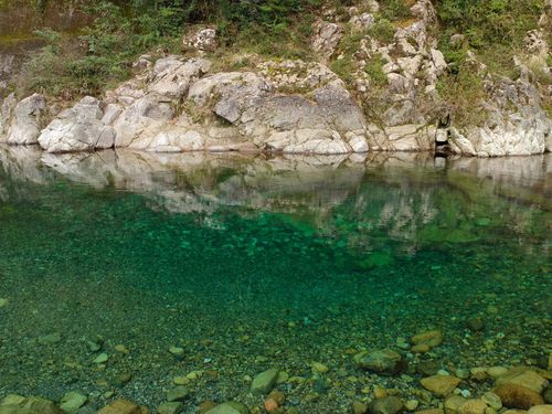 川底までクリアに見える透明度！奇跡の清流・銚子川