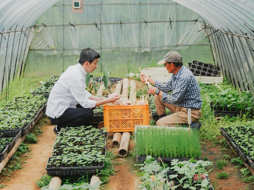 島の農家さんから直接仕入れることも。地域の人とつながりから、島を学んでいきます