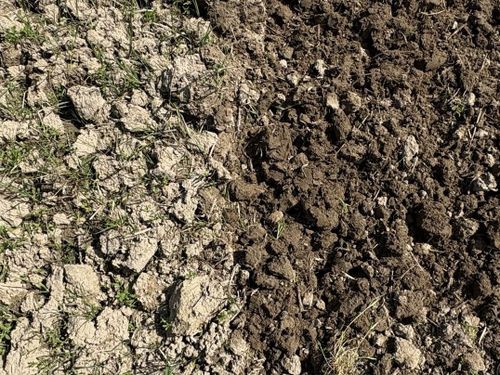 左が「荒起こし」をしただけの土。右が「くれ返し」後の土。全然違いますね！