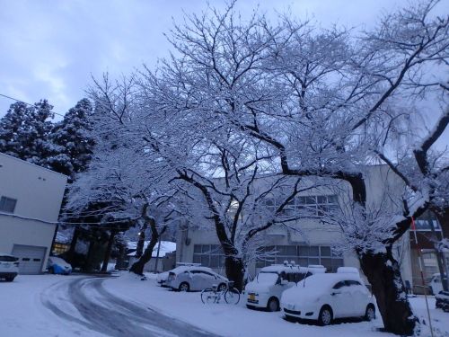 町中心部の12月の雪の様子