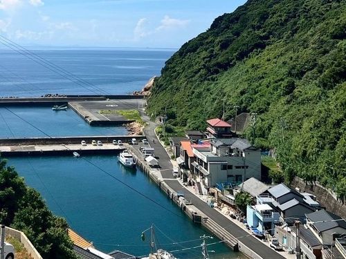 宿泊先の母島地区