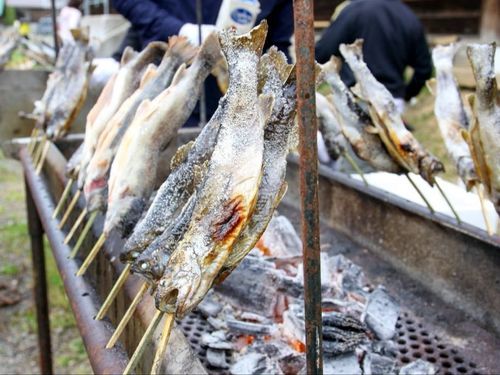 美味しいイワナの塩焼きも♪