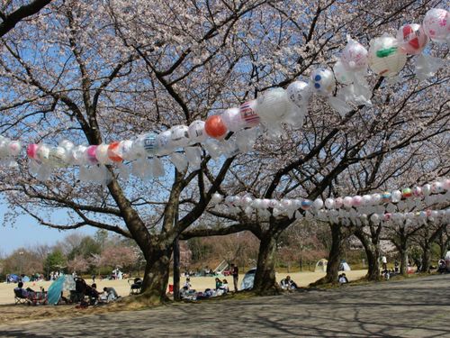 子どもたちの遊び場「加賀市中央公園」