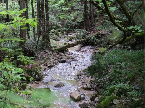 中山道を目当てに訪れる海外の方も。