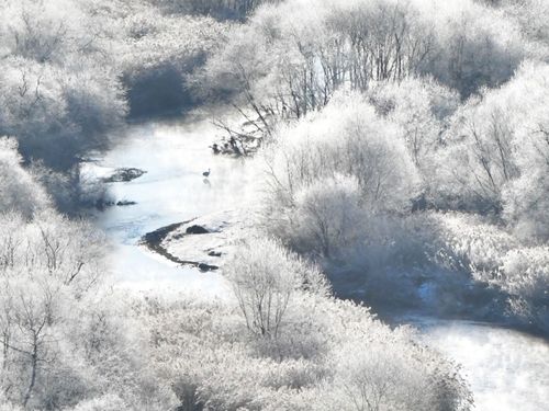 鶴居村の自然風景