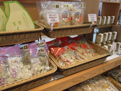 店頭で販売されている「鳥取砂丘らっきょう」