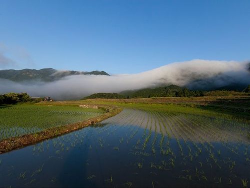 自然の神秘「風伝おろし」が魅力の山間部は知る人ぞ知る米所