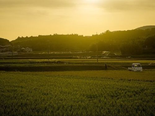 島の夕暮れ時