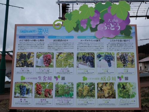 ブドウの看板