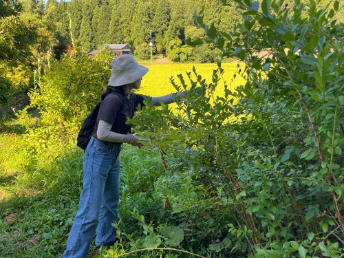 広大で美しい里山環境の住環境を実感しに来てください。