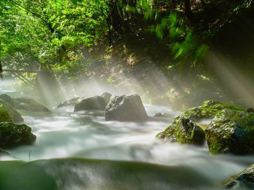 芹川や河内風穴は絶景が楽しめる避暑地です
