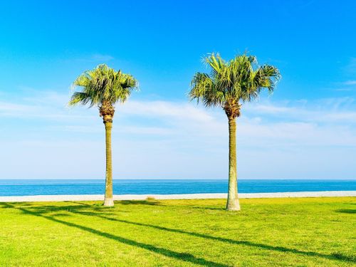 のんびり海を眺められる、七里御浜のふれあいビーチ