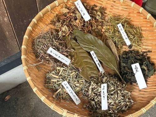 生産者さんからまず薬草について学ぶところから