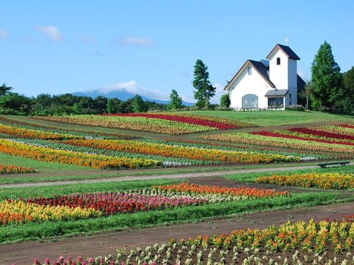 東北最大の花畑“やくらいガーデン”。シーズンやイベントは多くの人で賑わいます！
