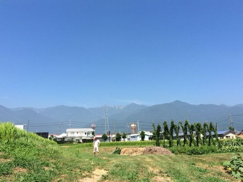 駒ヶ根市内ののどかな農村風景