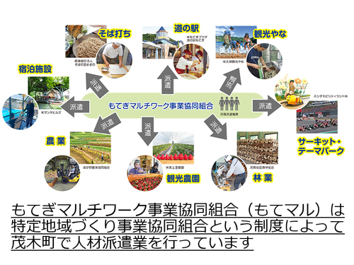 １年間に２か所以上の事業所で働きます。