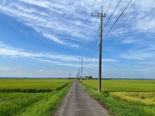 田園風景の中で暮らしを体感