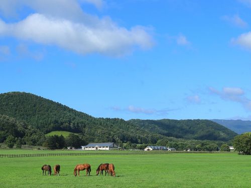 札幌から車で約２時間の馬好きが集まるまち