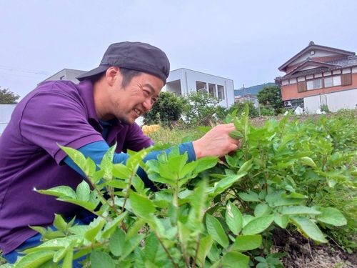 少しづつ畑の時間も確保
