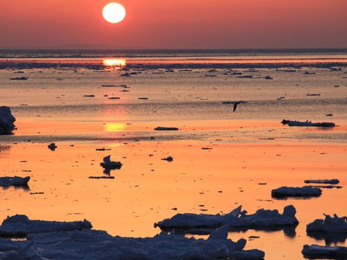 夕陽と流氷