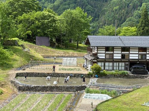 イベントの田植え