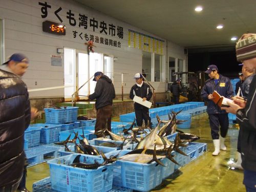 すくも湾中央市場の様子　