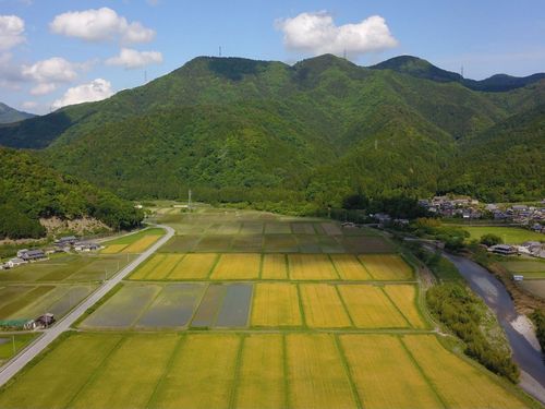 こ、、、こんな場所で暮らしたい・・・！