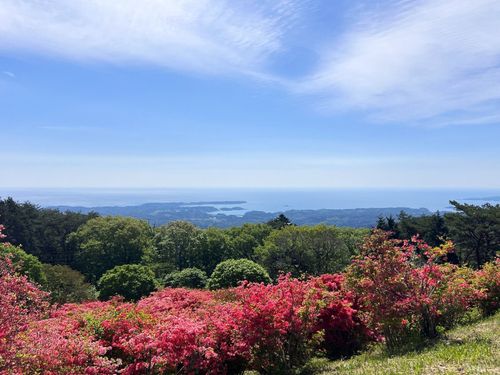 ラムサール条約湿地として登録された志津川湾
