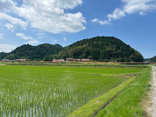 サラリーマンを辞めて、農業へ転身🌾