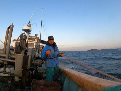 「正解がないから辞められない！」漁の世界🐟