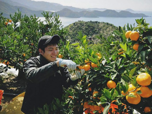 柑橘の生産量が日本一なのはもちろん、いろいろな働き方があります。