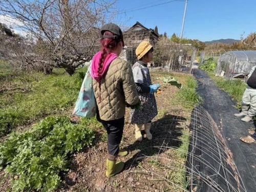 菌ちゃん農法のこだわりの畑にて、話が弾みました
