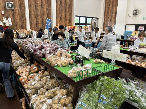 近所のやさい直売所マッちゃん