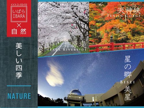 井原市の美しい四季