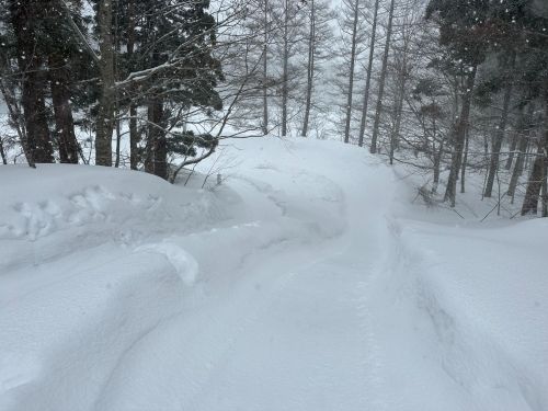 秋田との県境に接するエリアのため、雪の量は多め！