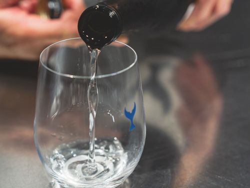 高知と言えば「日本酒」！酒蔵見学と夕食で高知のお酒文化を楽しみましょう！