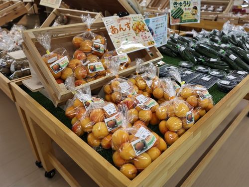 上熊井農産物直売所で販売中のあんず